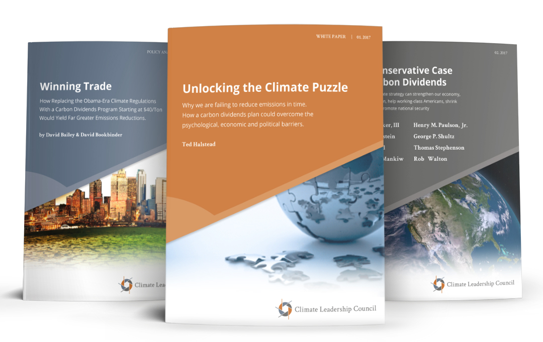 Covers from White papers and Reports using design template