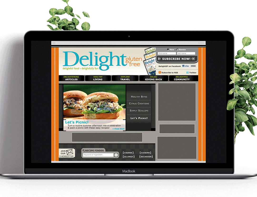 The website template showing ad space and the switch between issues